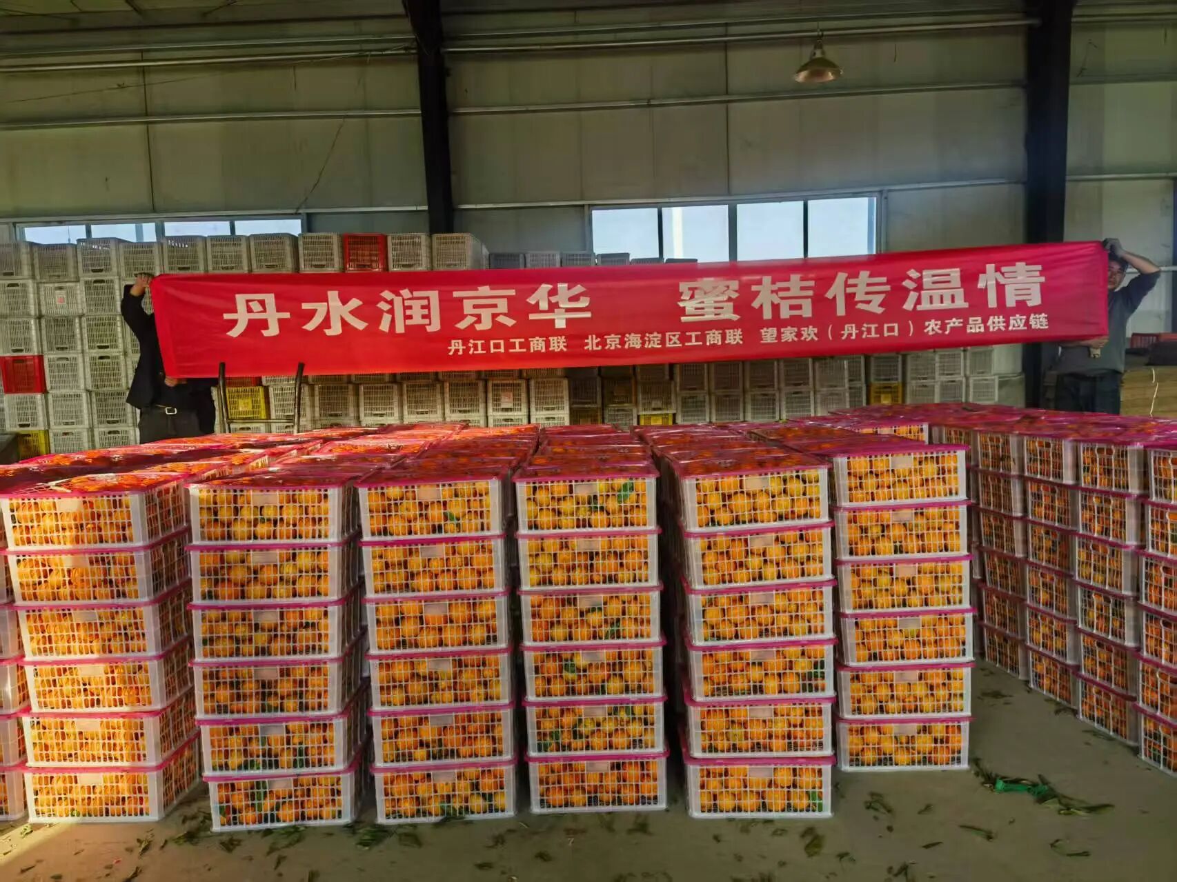 4564a511-0cf9-47b4-83ec-076b1053340a.jpg 微信圖片_2026-02-02_102941_509.jpg